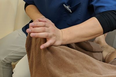 ひざの痛みに整体・ストレッチ