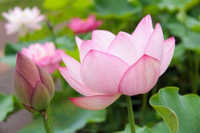 2025年お盆ウィークの営業